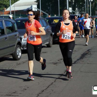 Barca 146 Fileminimizer