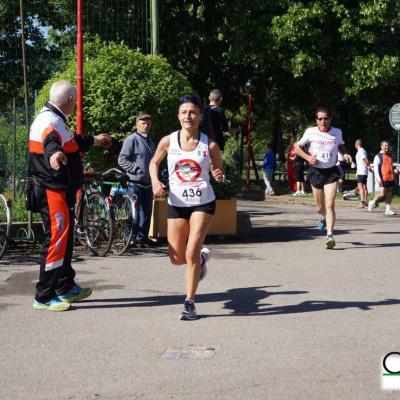 Barca 295 Fileminimizer