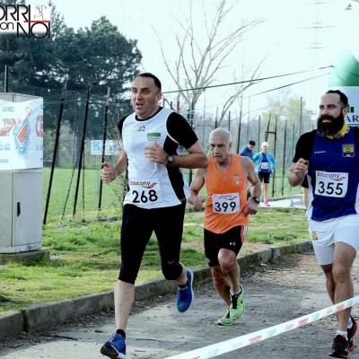 12916332 10208668378217912 186122645195218809 O Fileminimizer