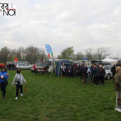 Img 2551 Fileminimizer